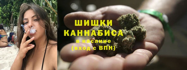 винт Вяземский