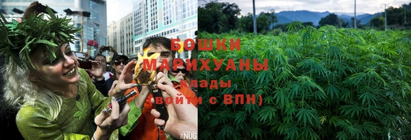 молекула духа Вязьма