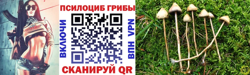 продажа наркотиков  Северодвинск  Галлюциногенные грибы прущие грибы 