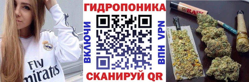 Марихуана план  Северодвинск 